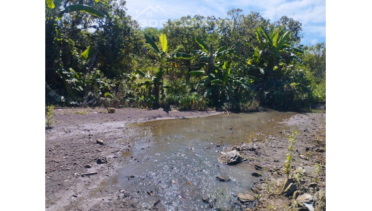 Bán đất thổ cư view suối ngay nhà Yến tại Tân Tiến Bù Đốp Bình Phước